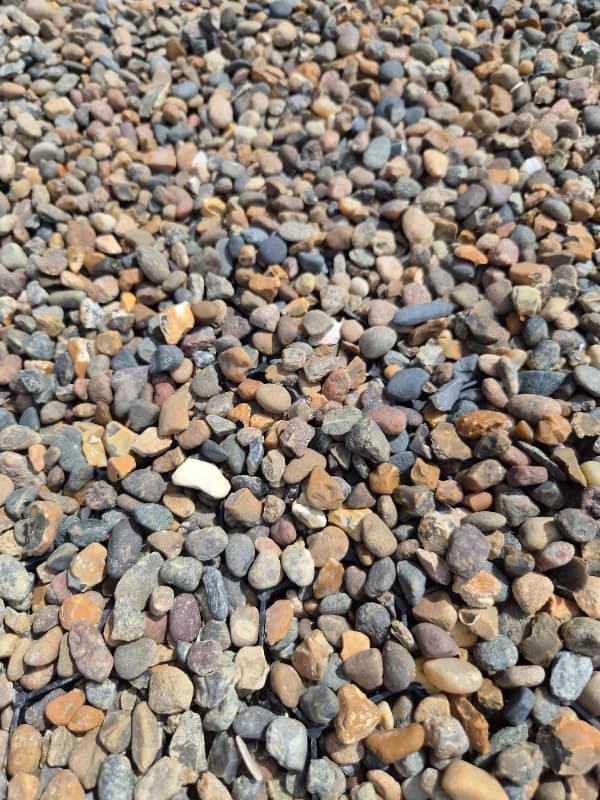 Dansk strandsingel 3